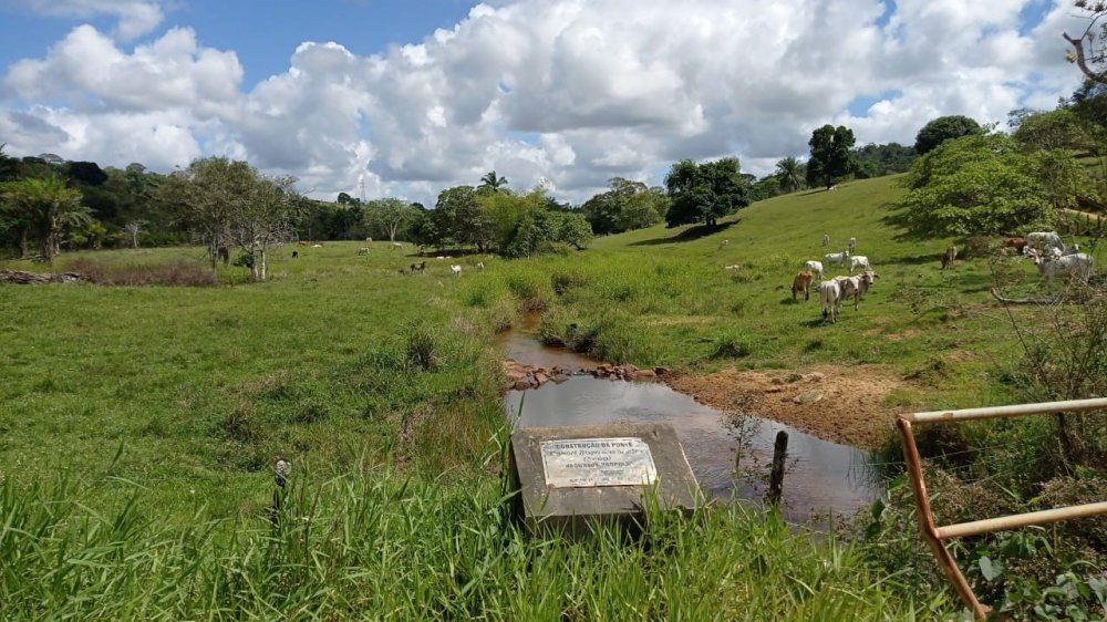 Fazenda - Venda - Riacho do Meio - Zona Rural - Mutupe - BA