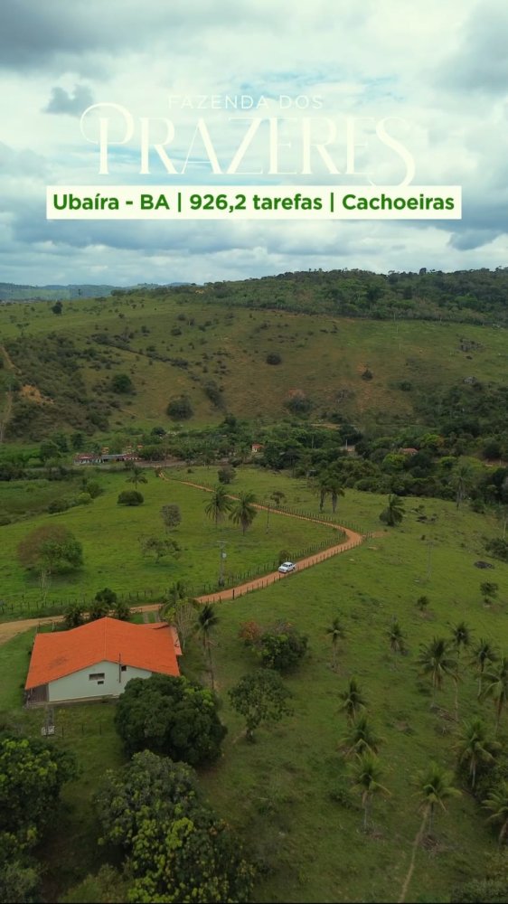 Fazenda - Venda - Br 420 - Jiquiria - BA